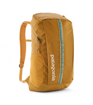 Patagonia Black Hole Pack 25L
