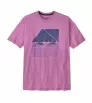 Patagonia Oversized Driftways Organic T-Shirt W's